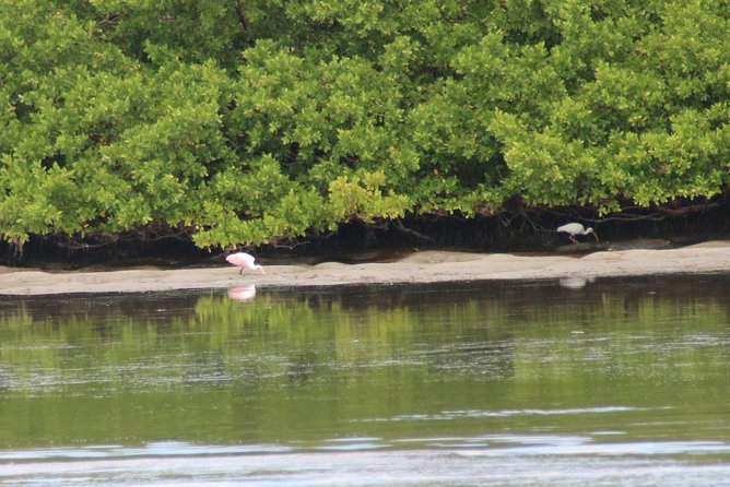 Clearwater Encounters with Dolphins Tour - Getting to 25 Causeway Boulevard