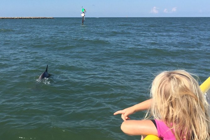 Clearwater Encounters with Dolphins Tour - Who will enjoy this outing most?