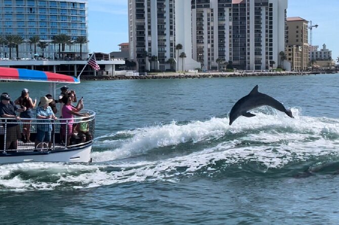 Clearwater Encounters with Dolphins Tour - Booking, weather, and cancellation details