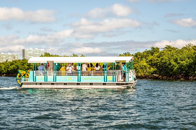 Clearwater Island Hop and Dolphin Watch with Swimming - Leaving from 455 E Shore Dr