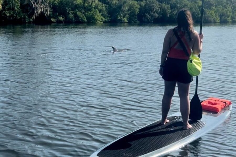 Cocoa Beach: Dolphin and Manatee Kayak or Paddle Tour - The Banana River Manatee Refuge