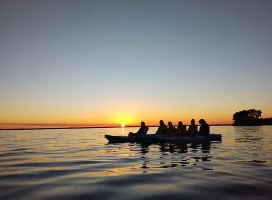 Cocoa Beach/Merritt Island: Guided Dolphin and Manatee Tour - Should you book this dolphin and manatee tour?