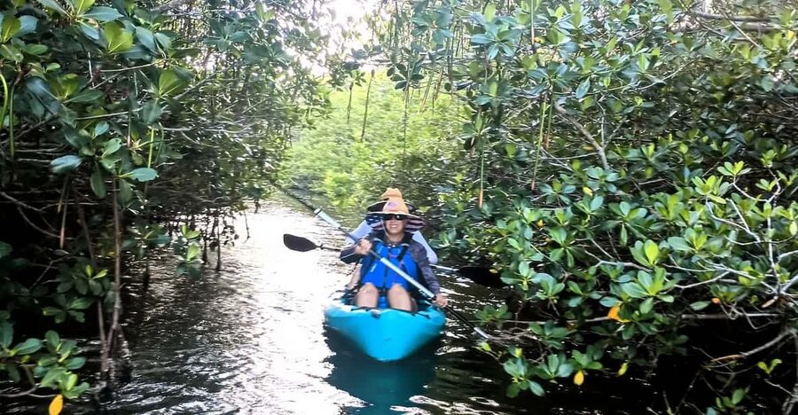Cocoa Beach/Merritt Island: Guided Dolphin and Manatee Tour - What the paddle through the lagoon is like