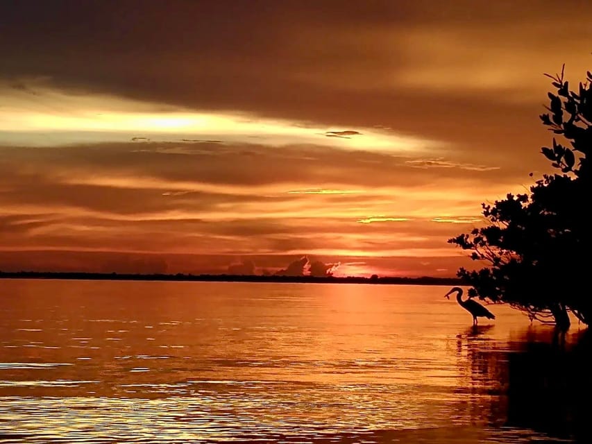 Cocoa Beach/Merritt Island: Guided Dolphin and Manatee Tour - How the guides shape the experience