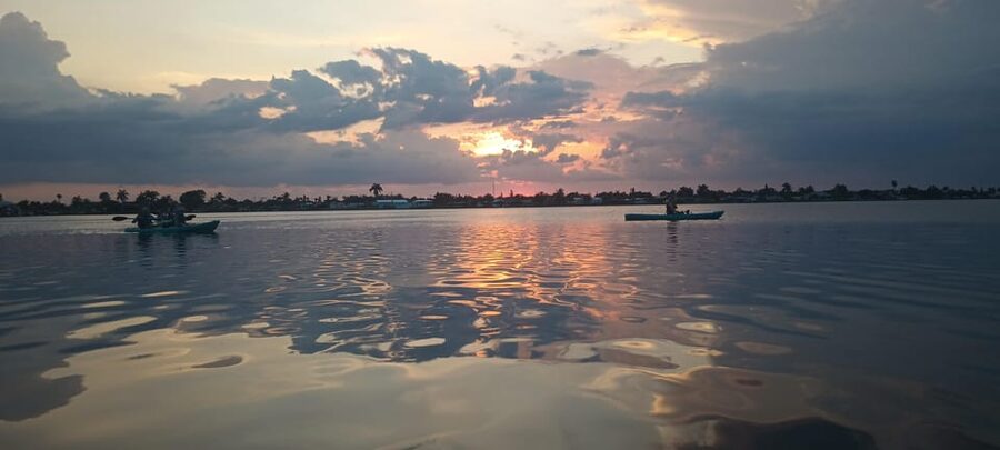 Cocoa Beach/Merritt Island: Guided Dolphin and Manatee Tour - Is $47 a fair price?