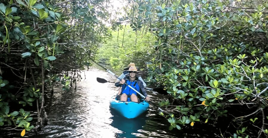 Cocoa Beach/Merritt Island: Guided Dolphin and Manatee Tour - Who will enjoy this most