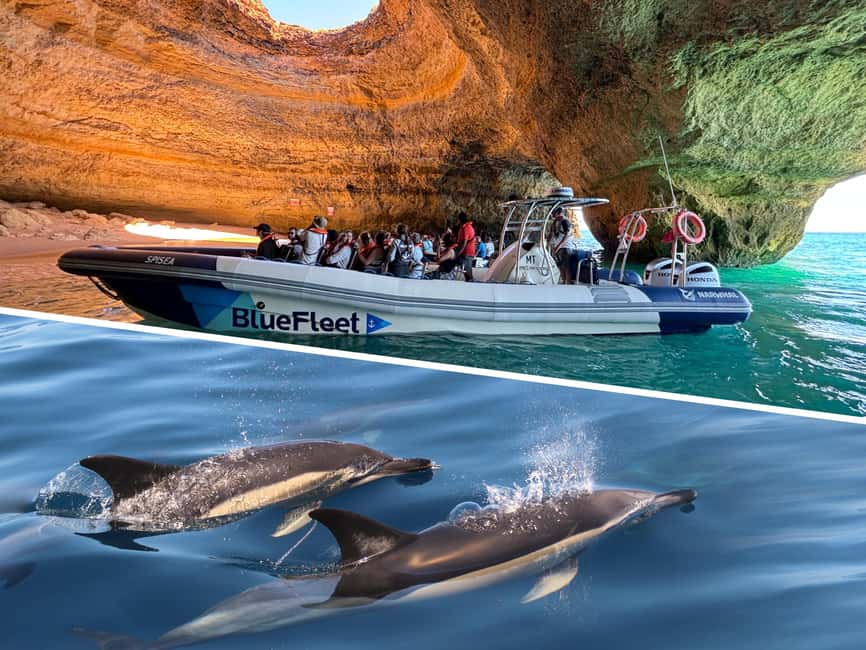 Combo: Benagil & Dolphins Boat Tour w/ Marine Biologists - Starting at Lagos Train Station