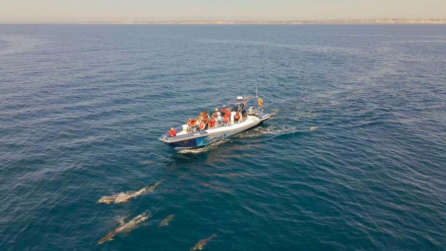 Combo: Benagil & Dolphins Boat Tour w/ Marine Biologists - Cruising toward Benagil Cave