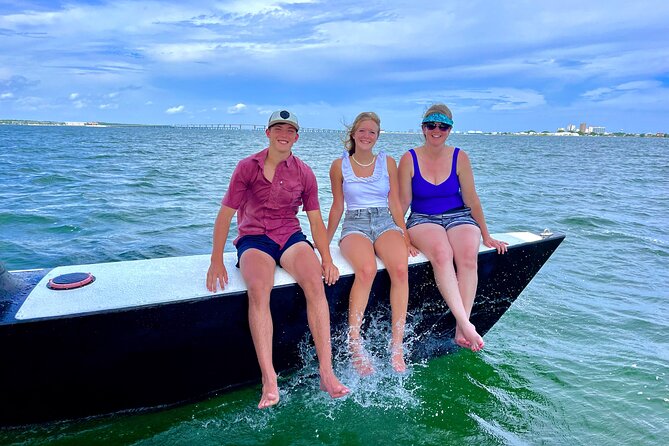 Condor Sailing Fun, Relaxing Public Dolphin & Sightseeing Cruise - Dolphins and wildlife: enjoy the search