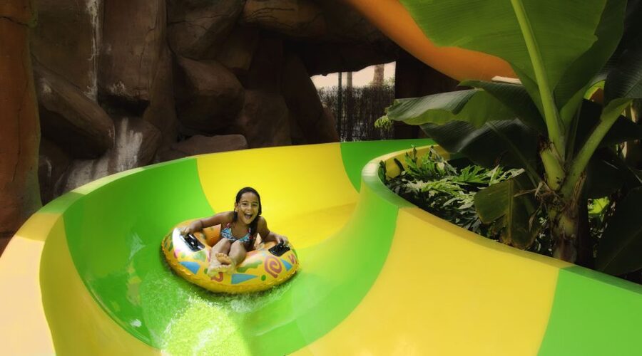 Costa Adeje: Aqualand Water Park Ticket with Dolphin Show - Aqualand Compared With Siam Park