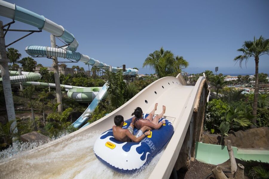 Costa Adeje: Aqualand Water Park Ticket with Dolphin Show - Accessibility and Family Comfort