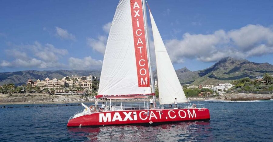 Costa Adeje: Whale and Dolphin Cruise with Food and Pickup - What this Costa Adeje cruise is really like