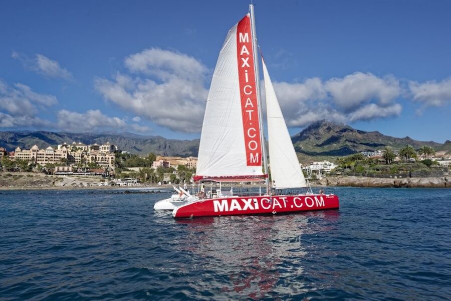 Costa Adeje: Whale and Dolphin Cruise with Food and Pickup - Diego Hernandez Bay: swim, sunbathe, or stay dry