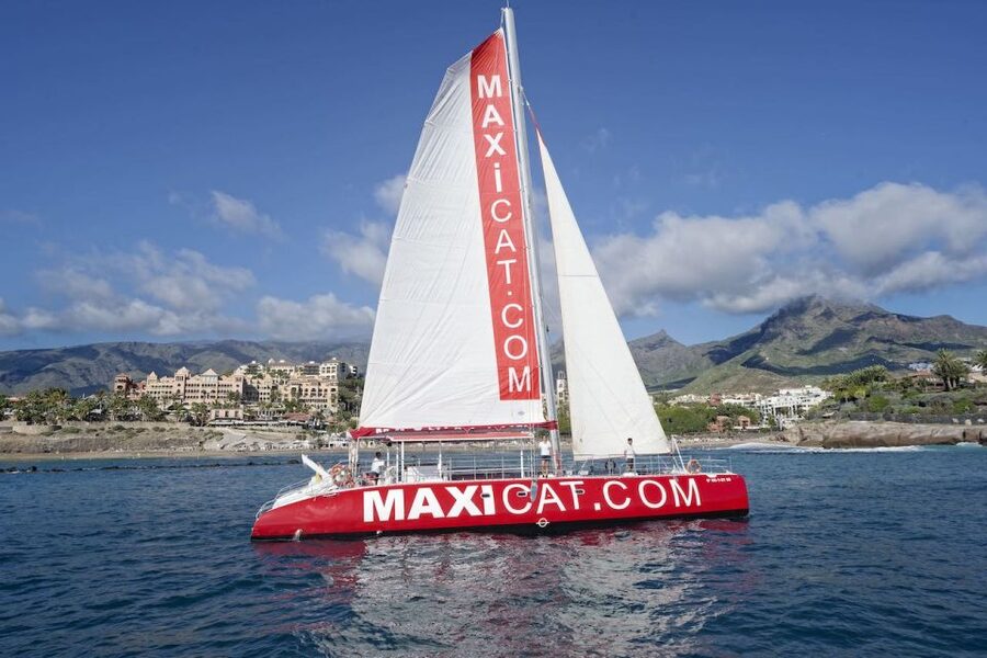 Costa Adeje: Whale and Dolphin Cruise with Food and Pickup - Leaving Puerto Colon and finding your boat