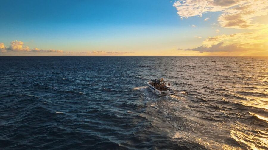 Costa Adeje: Whale and Dolphin-Watching Boat Excursion - Close encounters without the circus