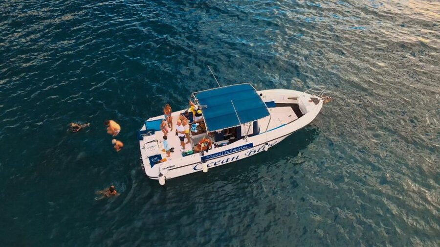 Costa Adeje: Whale and Dolphin-Watching Boat Excursion - Who should book this excursion?