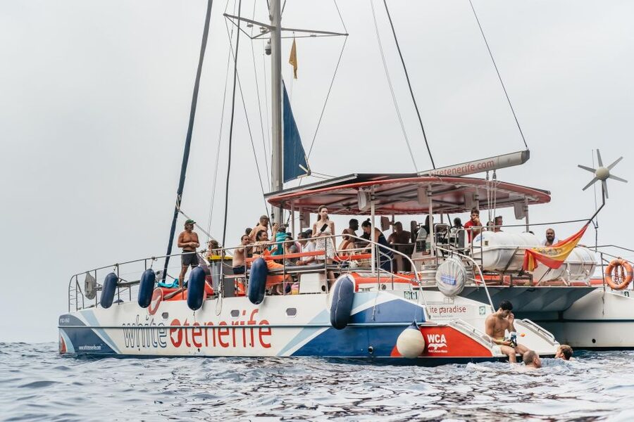 Costa Adeje: Whale & Dolphin Eco-Cruise with Snacks & Drinks - Key points to know before sailing