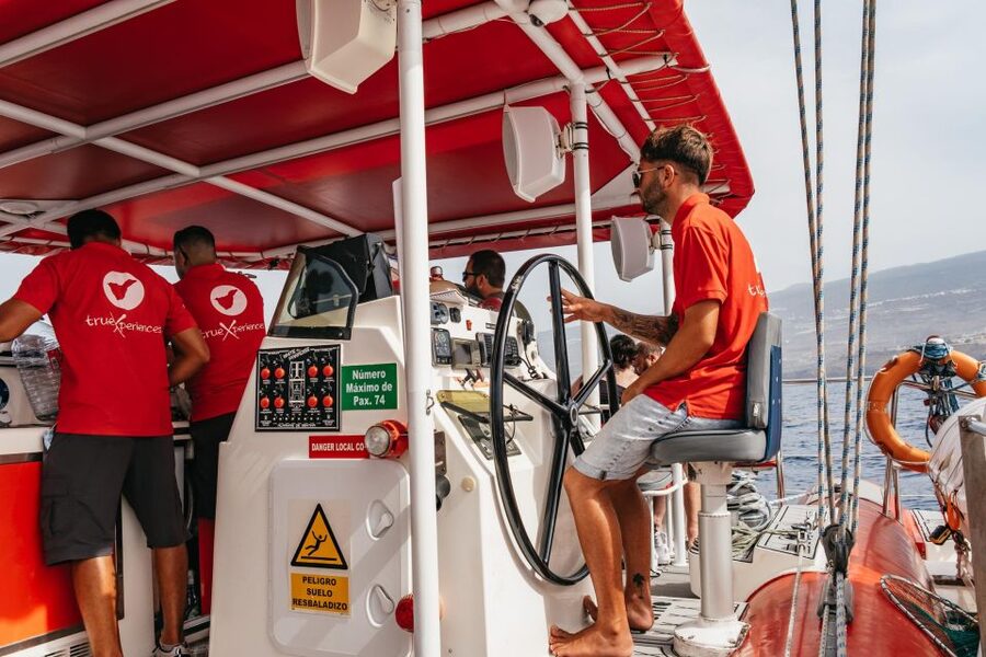 Costa Adeje: Whale & Dolphin Eco-Cruise with Snacks & Drinks - Who should book this Costa Adeje cruise?