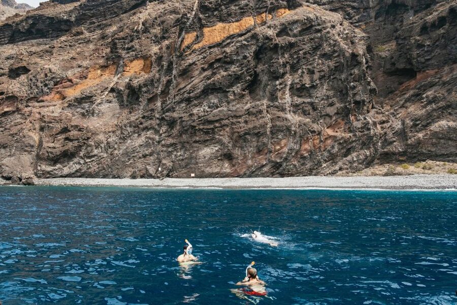 Costa Adeje: Whale & Dolphin Eco-Cruise with Snacks & Drinks - Setting out from Puerto Colón