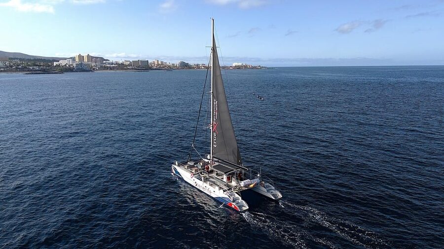 Costa Adeje: Whale & Dolphin Eco-Cruise with Snacks & Drinks - Swimming, snorkeling, and time to relax