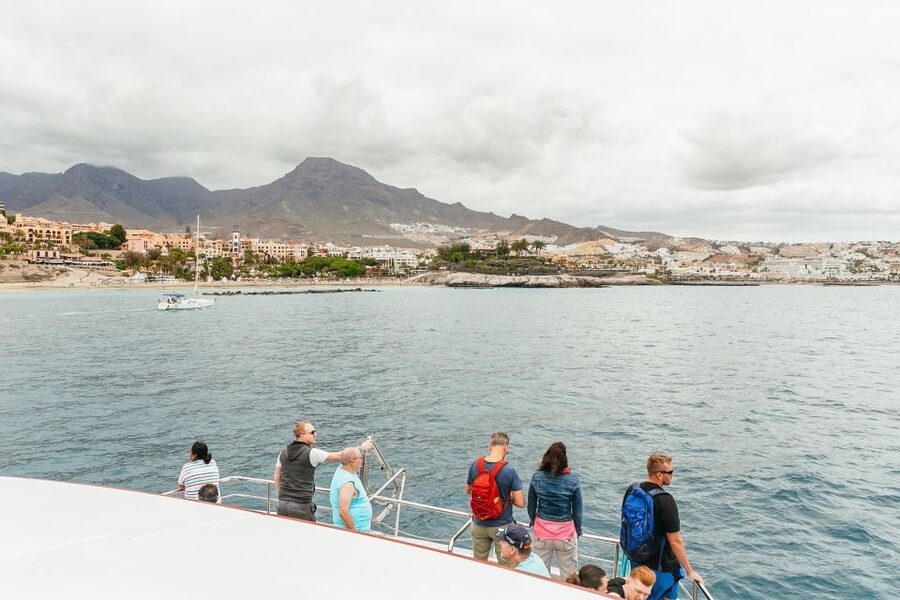 Costa Adeje: Whale & Dolphin Submarine Vision Mini Cruise - What the 16 underwater windows really offer