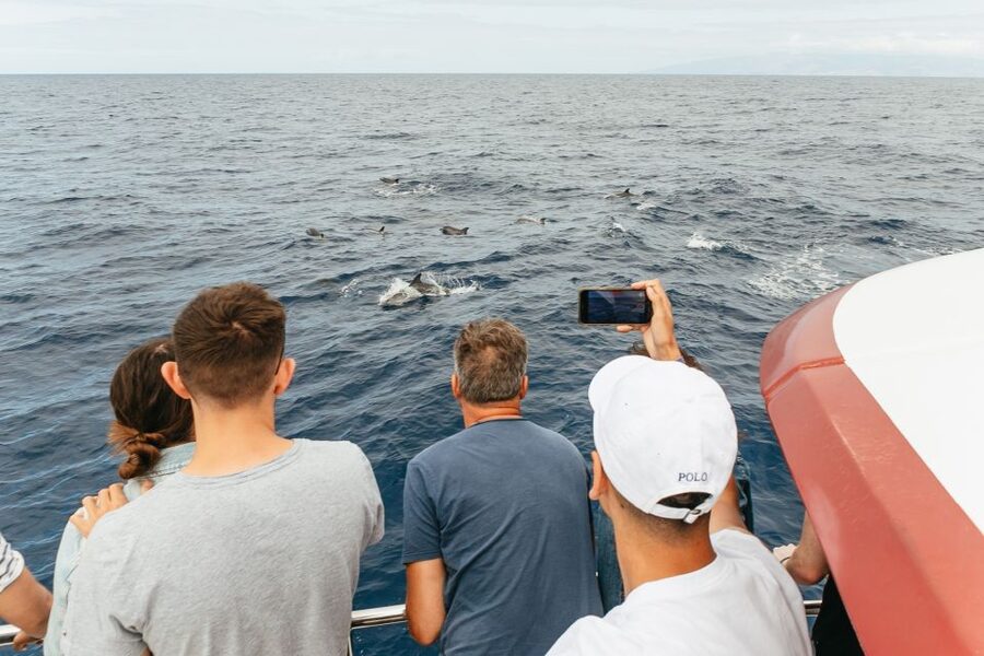 Costa Adeje: Whale & Dolphin Submarine Vision Mini Cruise - How the $35 price holds up