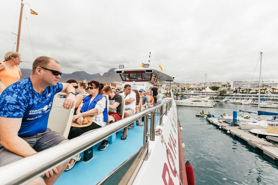Costa Adeje: Whale & Dolphin Submarine Vision Mini Cruise - Who will enjoy this Costa Adeje cruise most