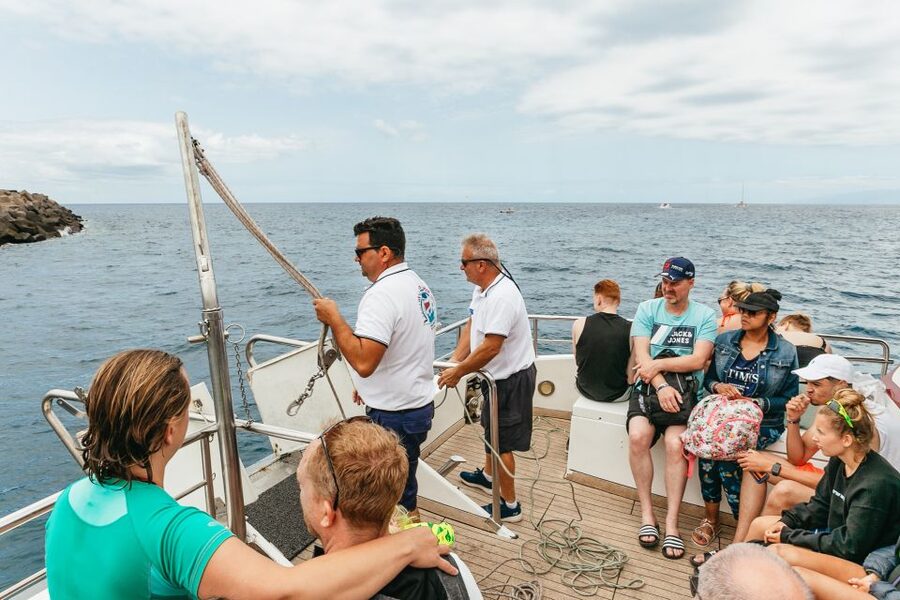 Costa Adeje: Whale & Dolphin Submarine Vision Mini Cruise - Should you book the Royal Delfin experience?
