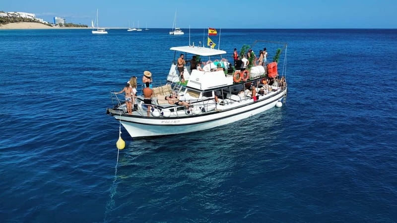 Costa Calma: Fuerteventura Dolphin Watching Boat Tour - What the boat ride feels like for families and adults