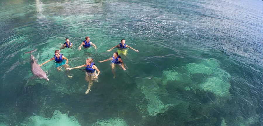 Costa Mujeres: Swim with Dolphins - Key points to know before booking