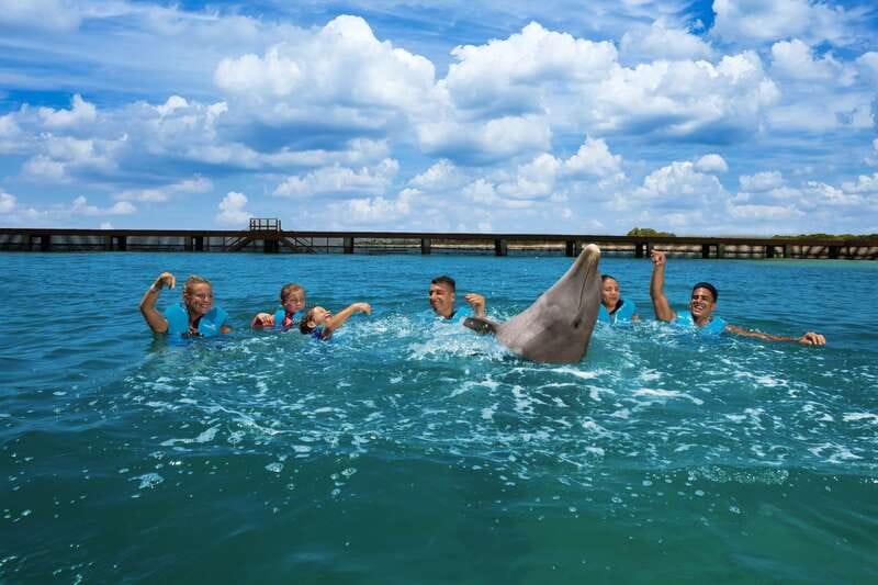 Costa Mujeres: Swim with Dolphins - What happens during the dolphin encounter