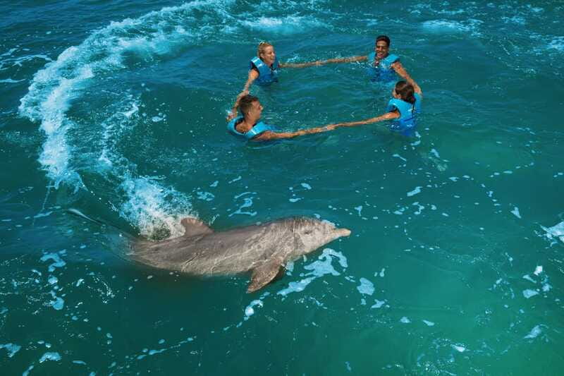 Costa Mujeres: Swim with Dolphins - Choosing between Harmony, Interax, and Primax