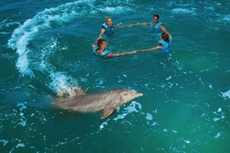 Costa Mujeres: Swim with Dolphins - Is $127 a fair price?