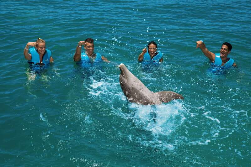 Costa Mujeres: Swim with Dolphins - A shore-side meeting instead of a pool show