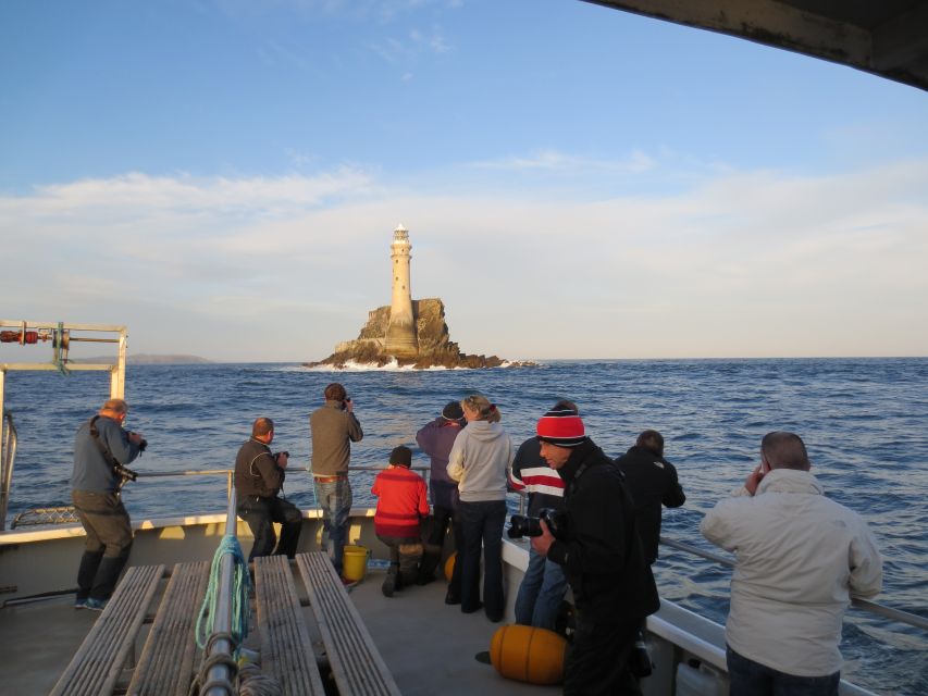 County Cork: Whale & Dolphin Watching Boat Trip - The real value of the $51 price