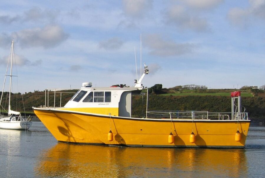 County Cork: Whale & Dolphin Watching Boat Trip - Who will enjoy this most