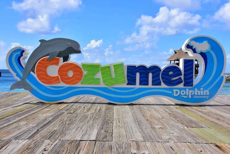 Cozumel: Dolphin Royal Connection and Manatee Interaction - What the Cozumel experience includes