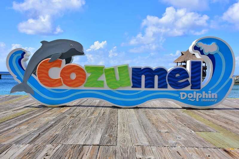 Cozumel: Dolphin Royal Connection and Manatee Interaction - The 10-minute manatee encounter