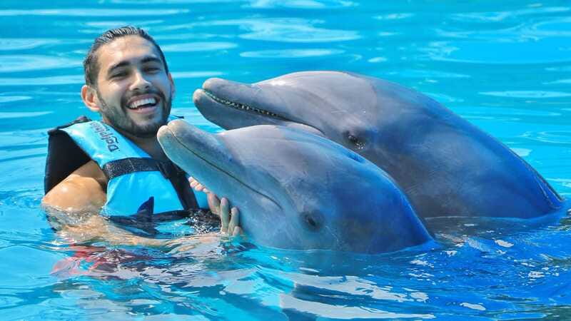 Cozumel: Dolphin Royal Connection and Manatee Interaction - Important rules and height limits
