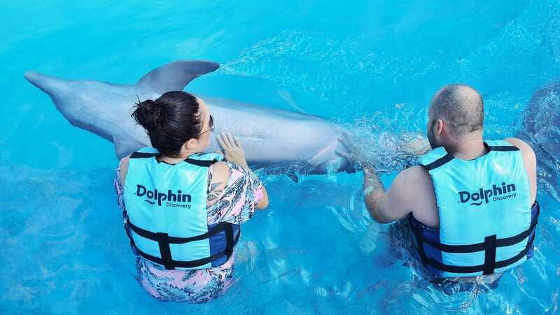 Cozumel: Dolphin Royal Connection and Manatee Interaction - Timing, transport, and finding the activity