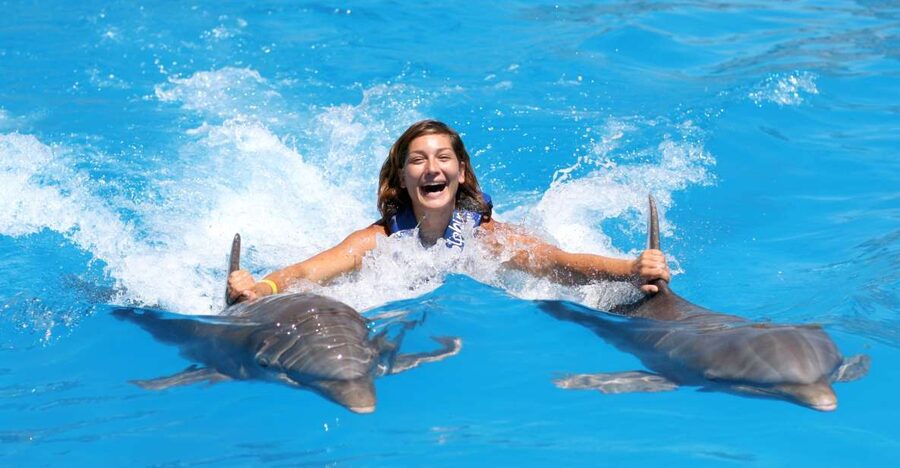 Cozumel: Dolphin Royal Connection and Manatee Interaction - Who will enjoy this most?