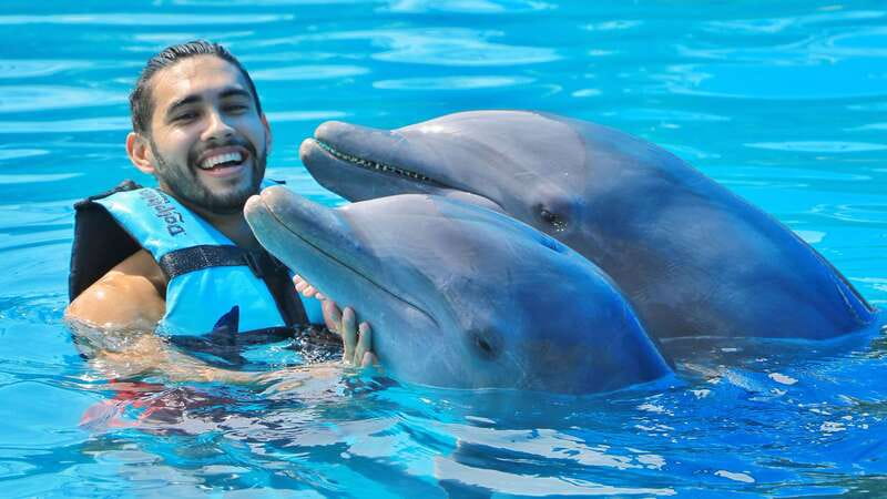 Cozumel: Dolphin Royal Connection and Manatee Interaction - The Royal Swim with two dolphins