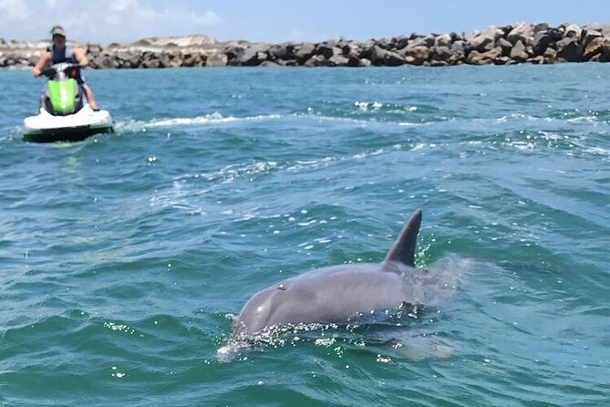 Crab Island Dolphin Jet Ski Adventure - What the two-hour ride is really like