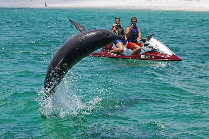Crab Island Dolphin Jet Ski Adventure - Searching for dolphins in the wild