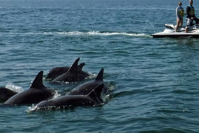 Crab Island Dolphin Jet Ski Adventure - Is $229 good value for two people?