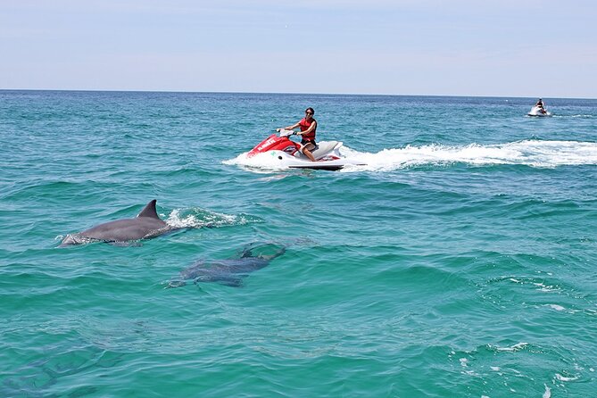 Crab Island Dolphin Jet Ski Adventure - Crab Island, Destin Harbor, and the local route