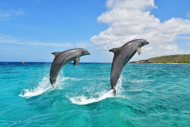 Cruise and Snorkeling with Dolphins Including Lunch from Hurghada - Lunch on the boat with soft drinks