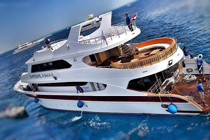 Cruise and Snorkeling with Dolphins Including Lunch from Hurghada - What the low $7.46 price really offers