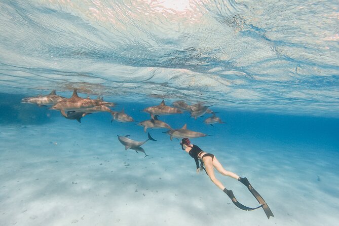 Cruise and Snorkeling with Dolphins Including Lunch from Hurghada - Who will enjoy this Hurghada excursion most