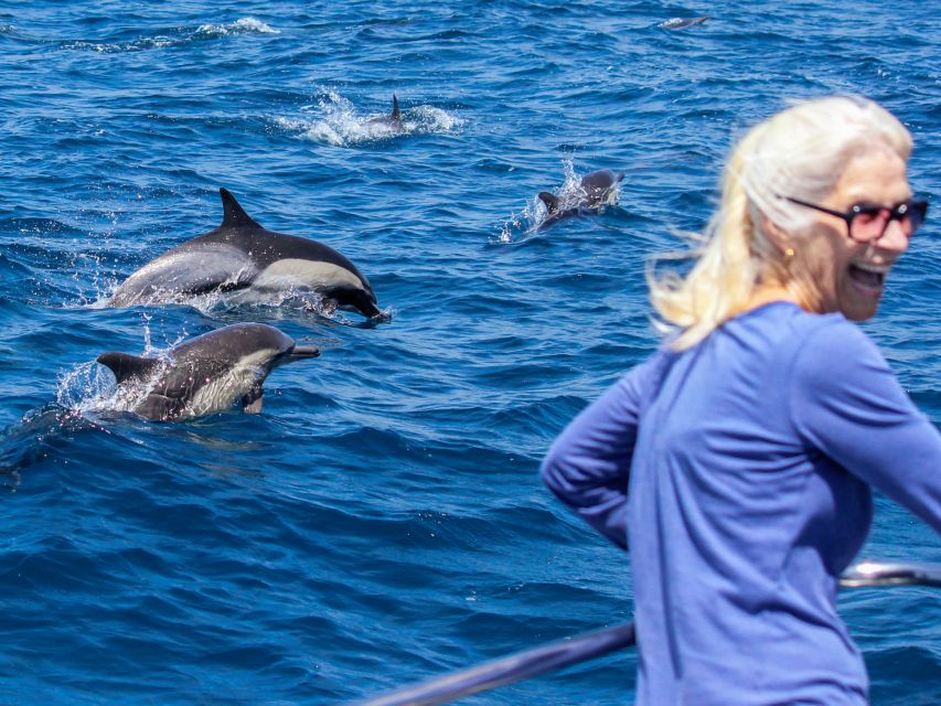 Dana Point Dolphin & Whale Watching With Underwater Viewing - Is $95 a fair price?